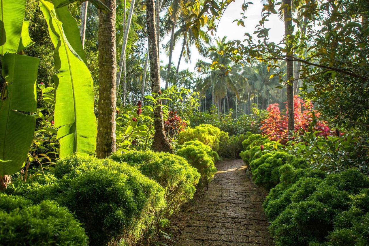 Kahani Paradise Gokarna  Bagian luar foto